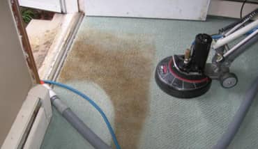 professional carpet cleaning